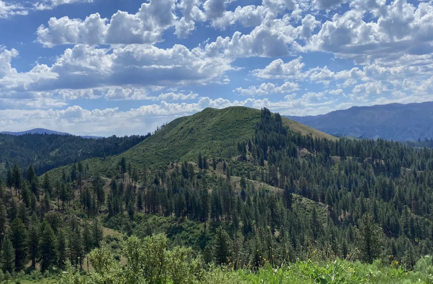 Hiking trails